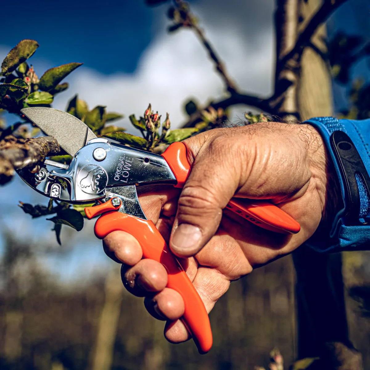 Cesoie da officina Löwe 2.107 Regolazione della larghezza dell'impugnatura Impugnatura per mani più piccole