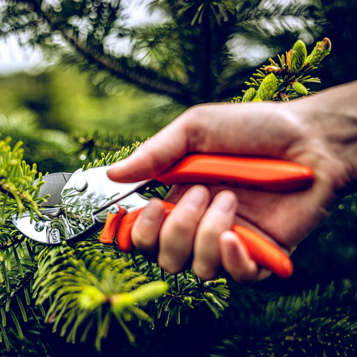 Cesoie da officina Löwe 2.107 Regolazione della larghezza dell'impugnatura Impugnatura per mani più piccole