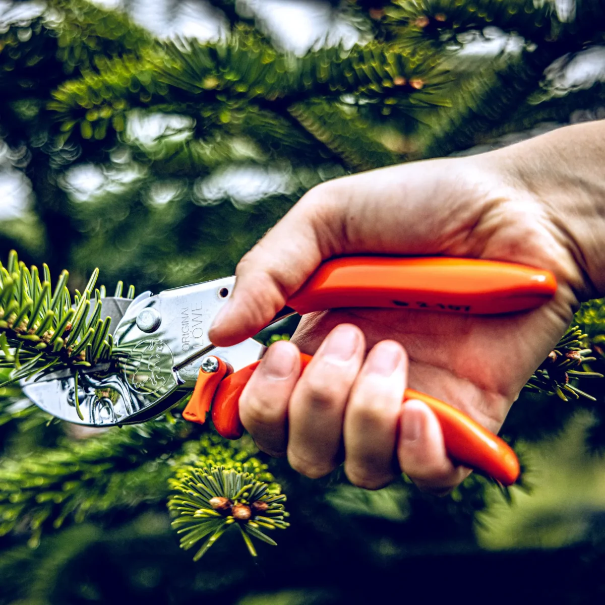 Cesoie da officina Löwe 2.107 Regolazione della larghezza dell'impugnatura Impugnatura per mani più piccole
