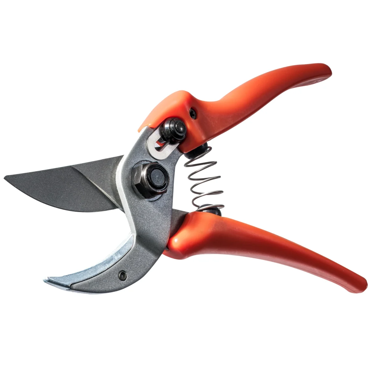 Secateurs Löwe 15 originali per le donne