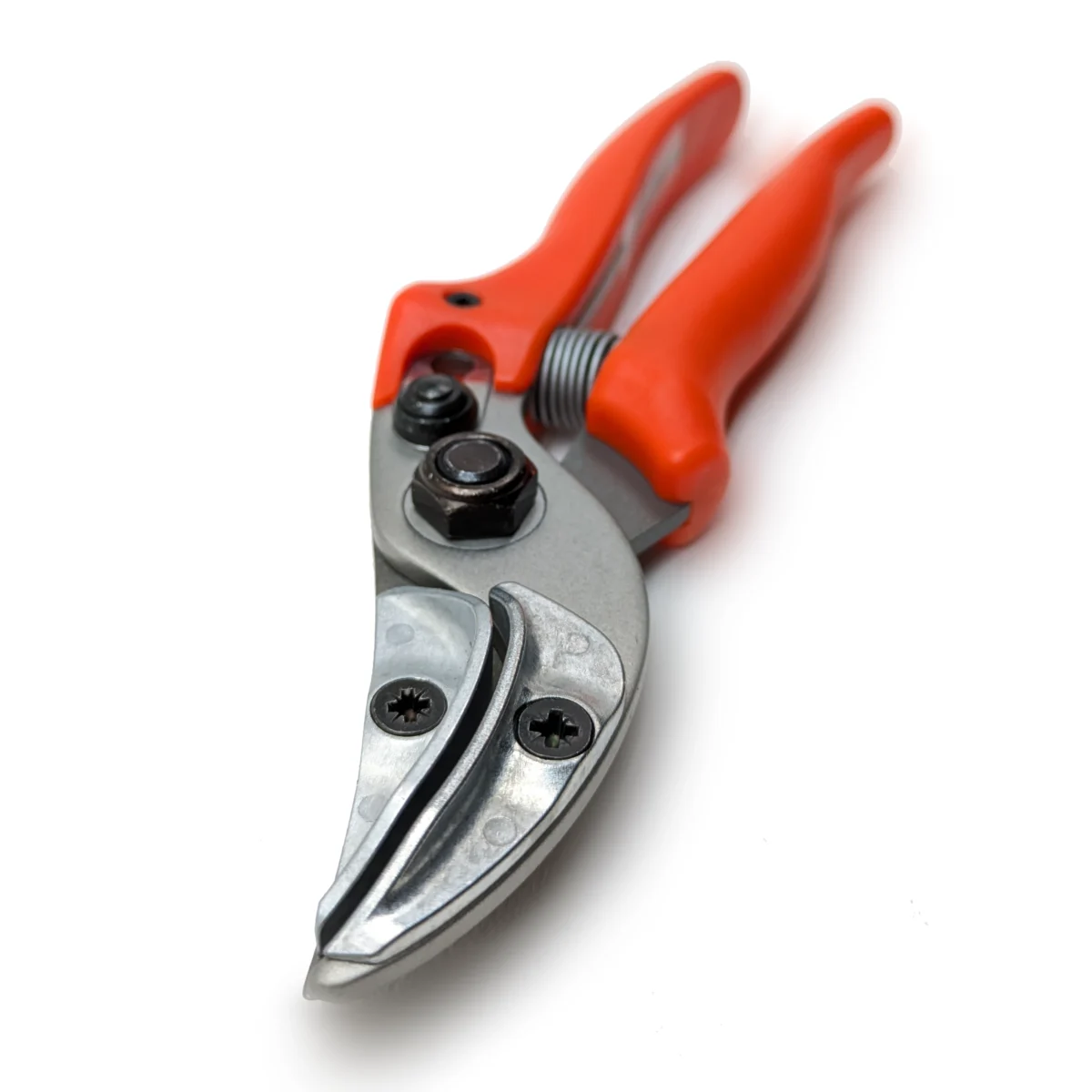 Forbici da presentazione originali Löwe rose