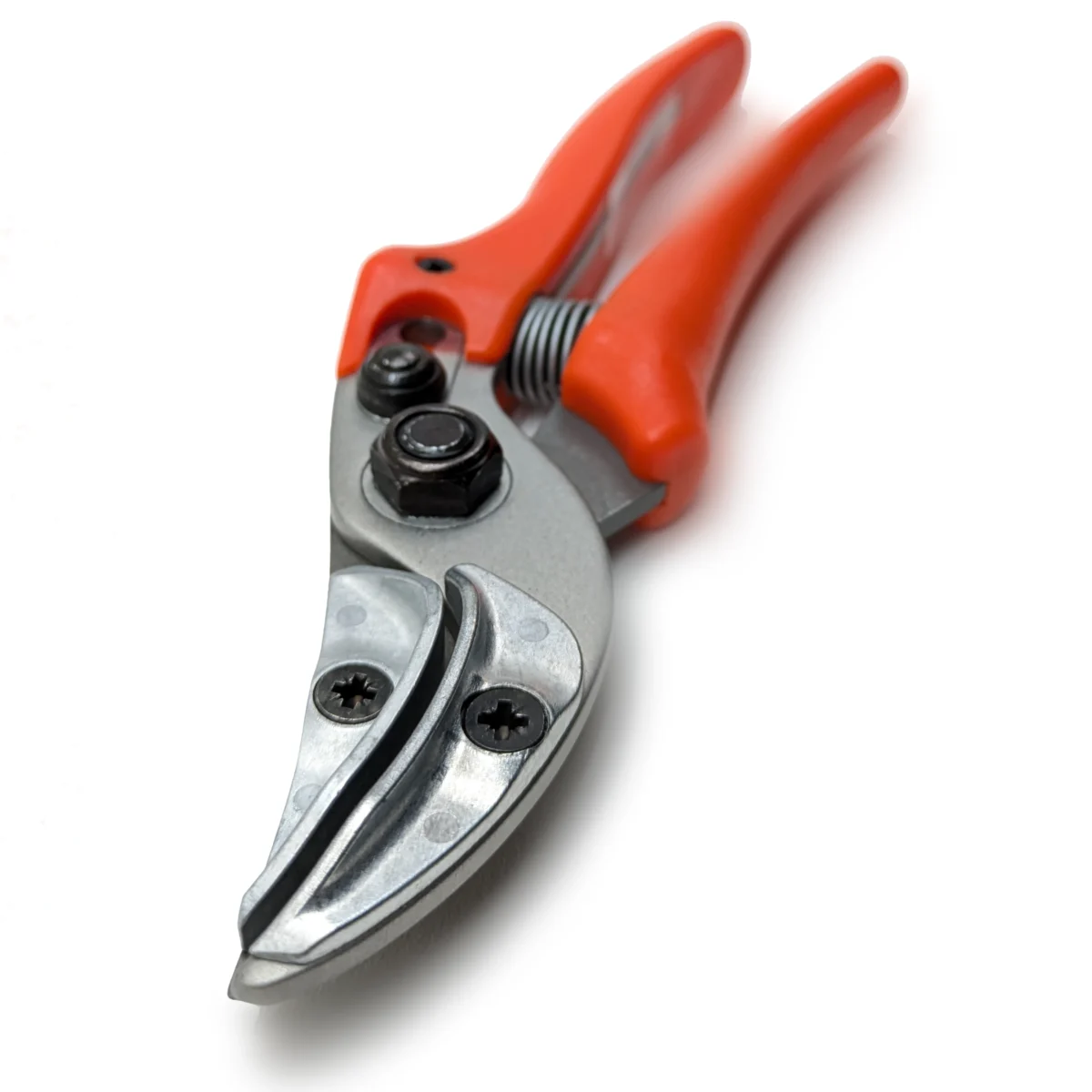 Forbici da presentazione originali Löwe rose